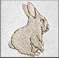 Bunny Washcloth Close-up