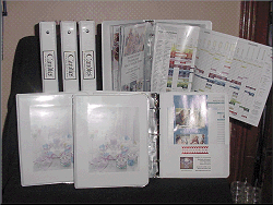3-Ring Binders with page protectors